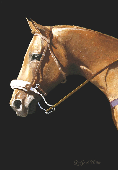The Look of Eagles — commissioned portrait of a horse by Radford Wine